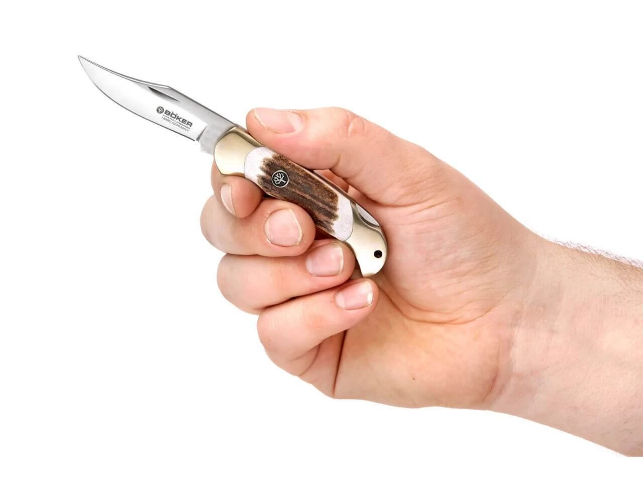 Boy Scout Hirschhorn 5 Boy Scout Hirschhorn – Bild 3