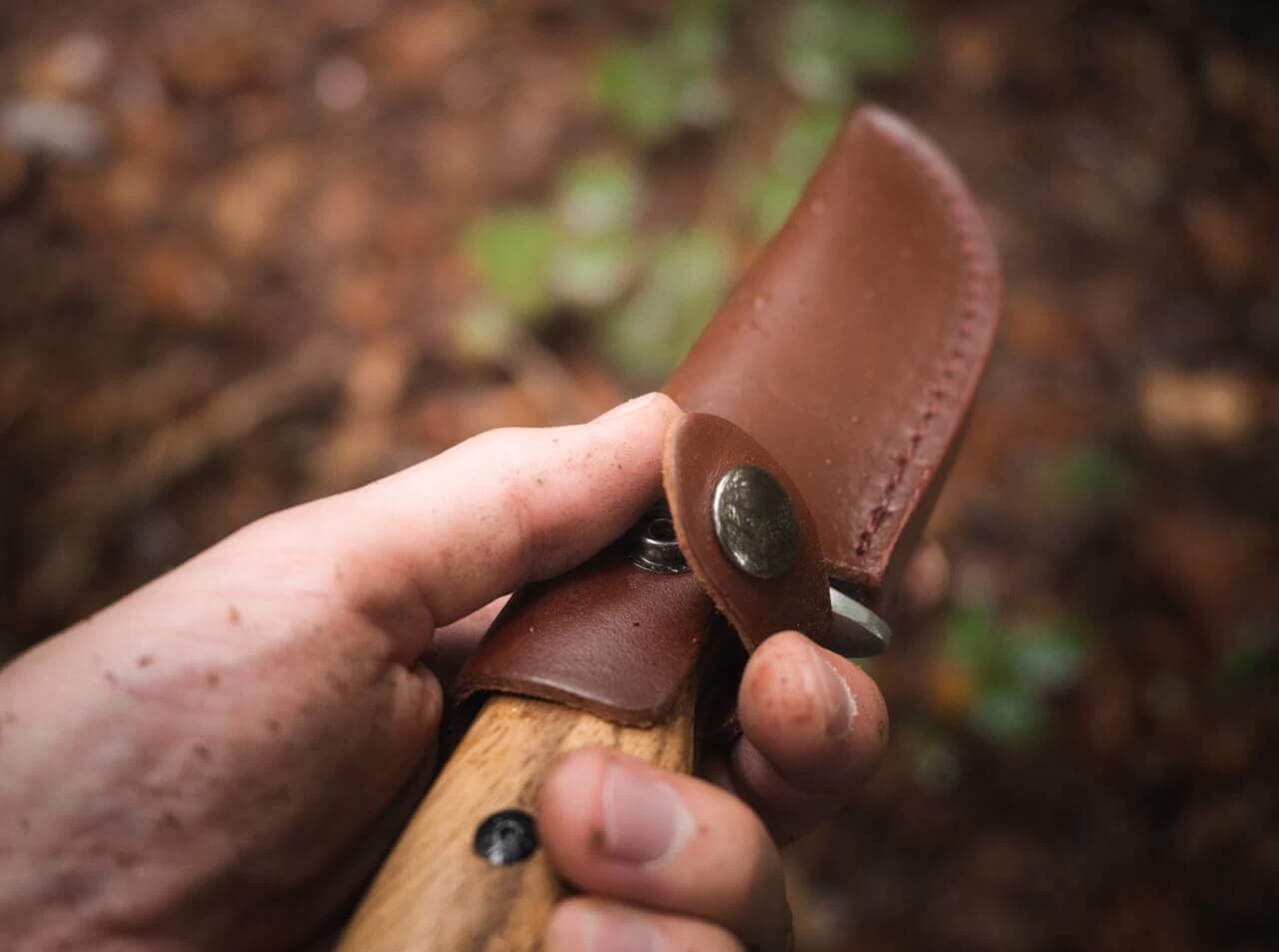 Magnum Zebra Drop 10 Magnum Zebra Drop – Bild 8