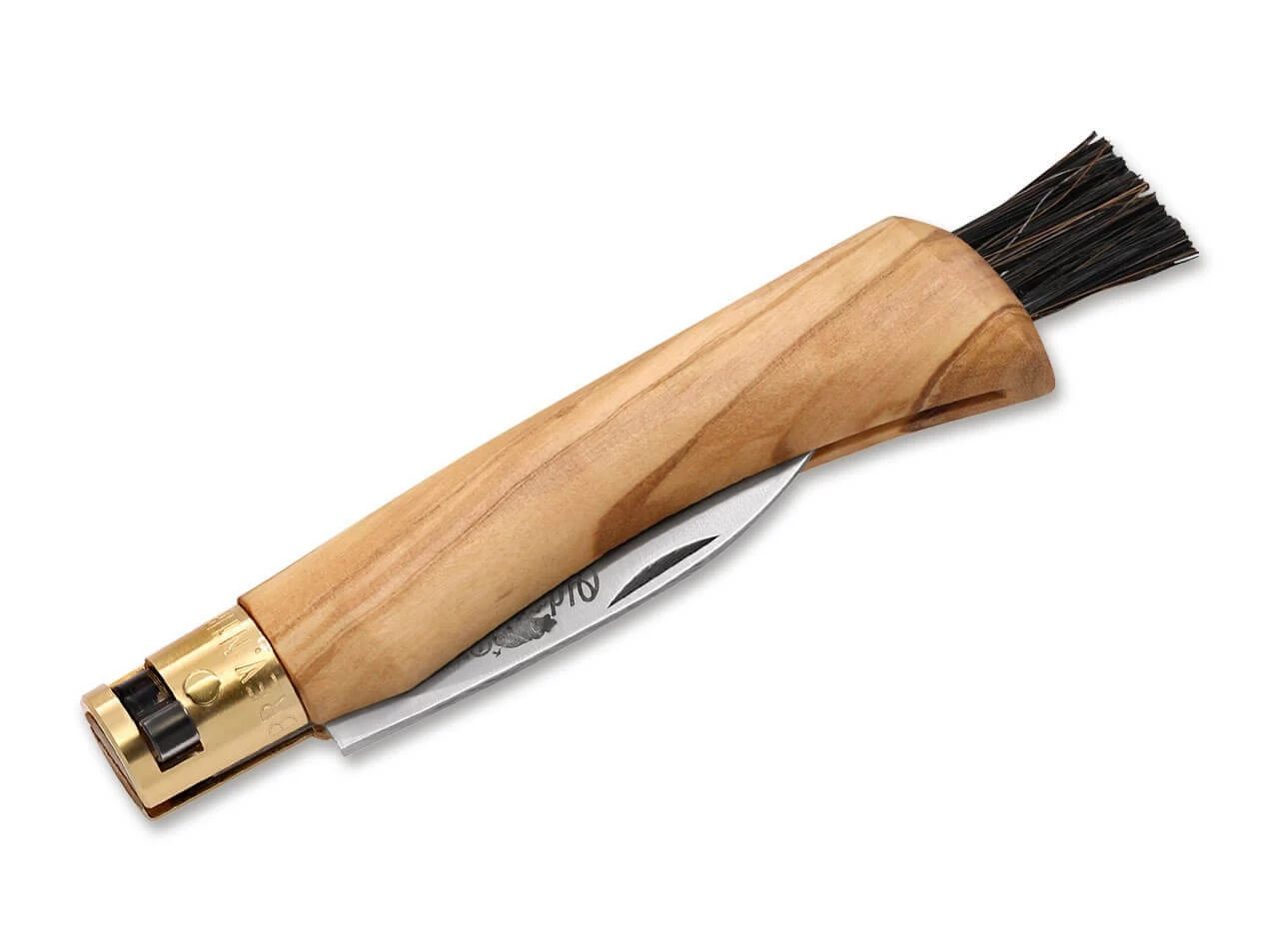 Mushroom Olive 4 Mushroom Olive – Bild 2